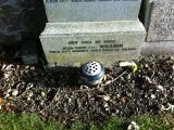 image of grave number 306061